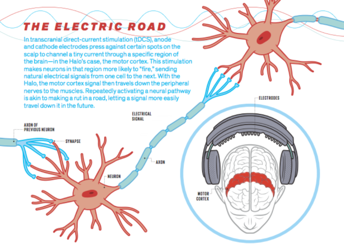 the-electric-road