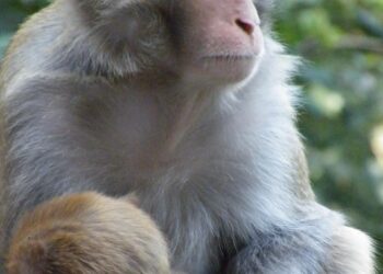 How to Create a Growth Engine For Your Startup