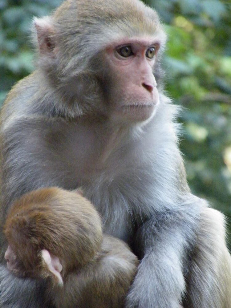 How to Create a Growth Engine For Your Startup