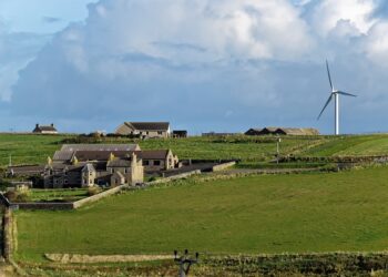 Popular Trends in the World of Sustainable Investments