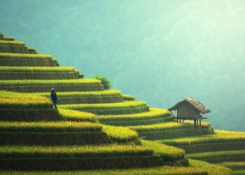 6 Key Components For Success In Your New Business