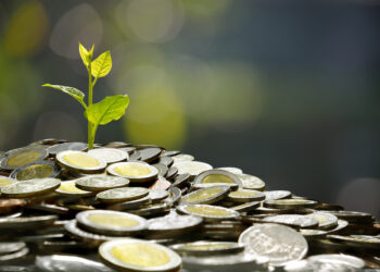 7 Keys to Scaling a Startup into a Thriving Business