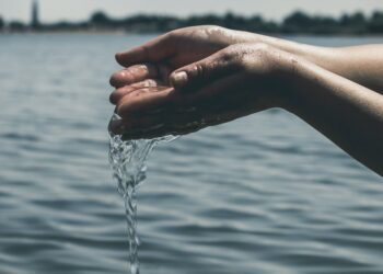 What Founders Learn From Growing up Broke