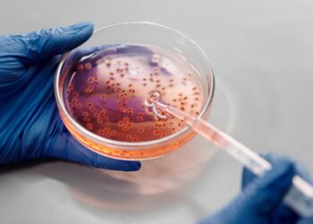 Where We Are Investing Now: Microbiome