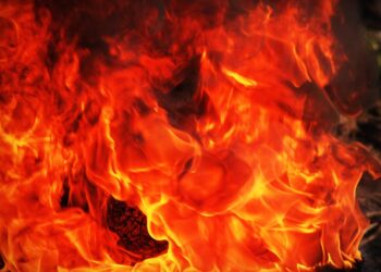 Business Lessons Often Ignored In The Heat Of Passion