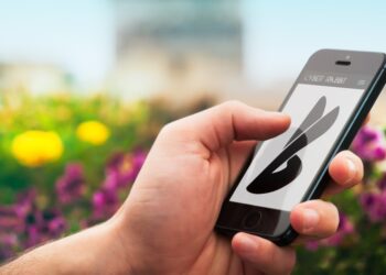 6 Questions You Should Ask Yourself Before Developing Your Dream App