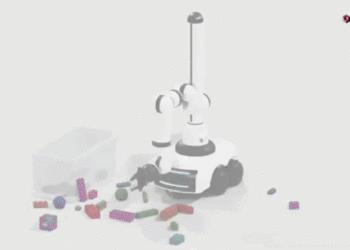 Are Robo-Butlers Really Handy?