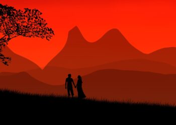 Fix The Instagram Algorithm: The Rebel Cry of the Digerati