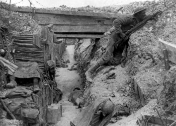 Lessons from the Entrepreneurial Trenches