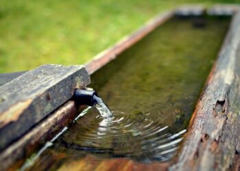 8 Indications of an Entrepreneur Sought by Investors